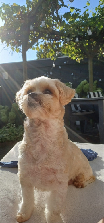 Max
